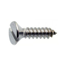 DIN 7972 Stainless Steel Slotted Csk Self Tapping Screw